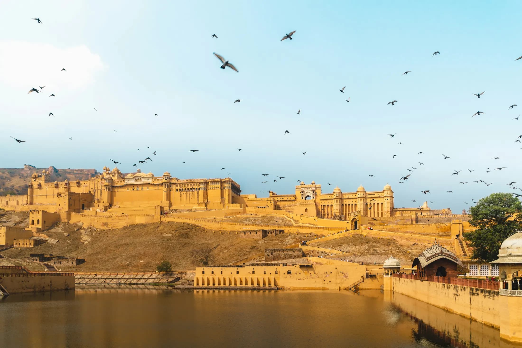 Rajasthan Tour Packages from Delhi, Mumbai & Bangalore (2026)