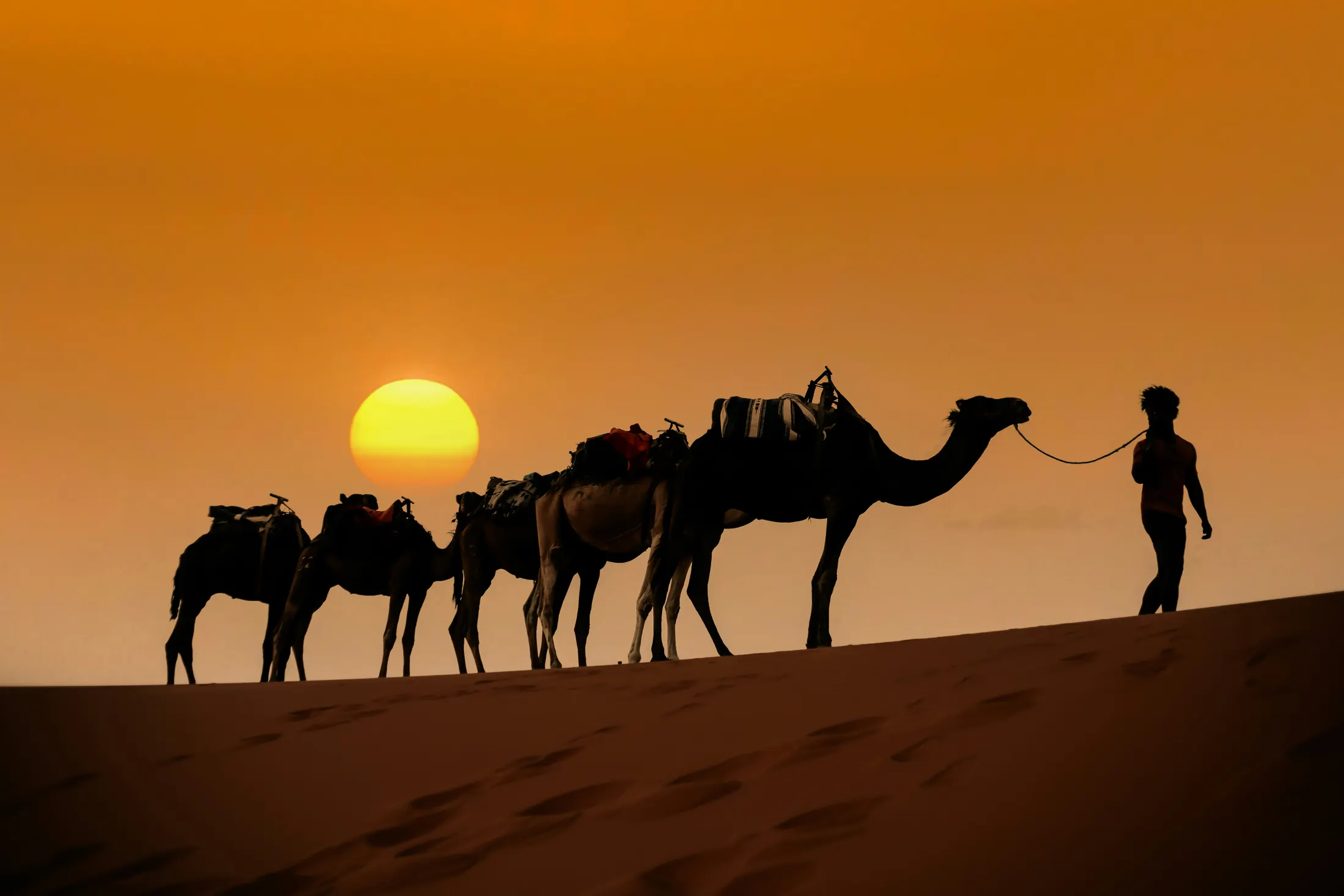 Jaipur, Pushkar, Jodhpur & Jaisalmer (5N/6D)